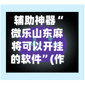 辅助神器“微乐山东麻将可以开挂的软件”(作弊)辅助透视教程-第2张图片