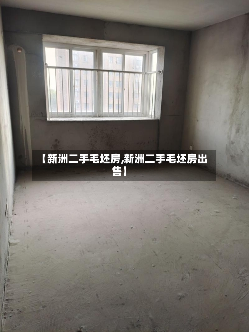 【新洲二手毛坯房,新洲二手毛坯房出售】