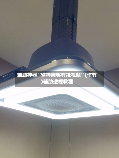 辅助神器“雀神麻将有挂视频”(作弊)辅助透视教程-第2张图片