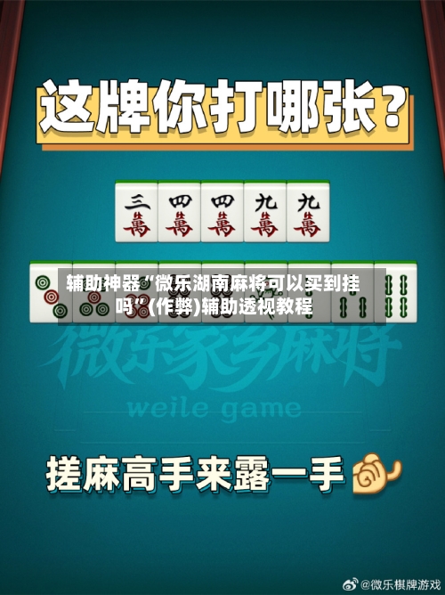 辅助神器“微乐湖南麻将可以买到挂吗”(作弊)辅助透视教程-第2张图片
