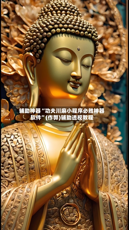 辅助神器“功夫川麻小程序必胜神器软件”(作弊)辅助透视教程-第2张图片