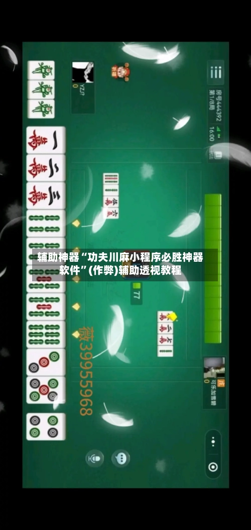 辅助神器“功夫川麻小程序必胜神器软件	”(作弊)辅助透视教程-第3张图片