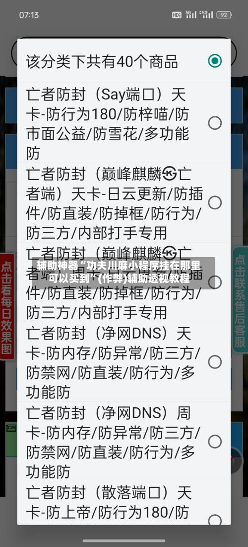 辅助神器“功夫川麻小程序挂在那里可以买到”(作弊)辅助透视教程-第3张图片