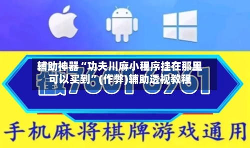 辅助神器“功夫川麻小程序挂在那里可以买到”(作弊)辅助透视教程-第2张图片