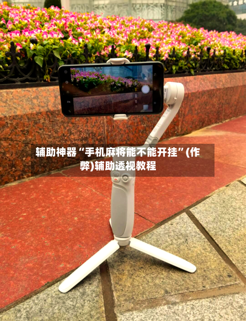 辅助神器“手机麻将能不能开挂”(作弊)辅助透视教程-第3张图片