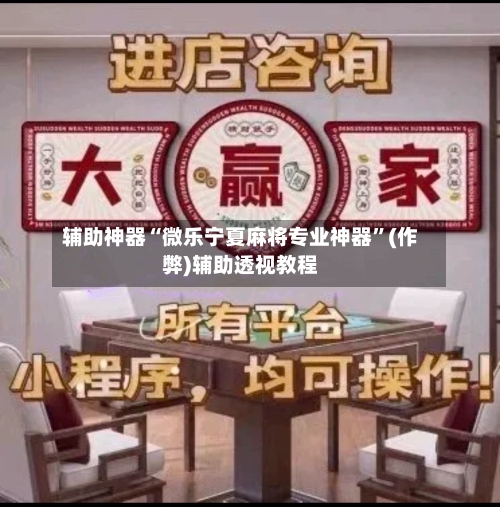 辅助神器“微乐宁夏麻将专业神器”(作弊)辅助透视教程-第2张图片