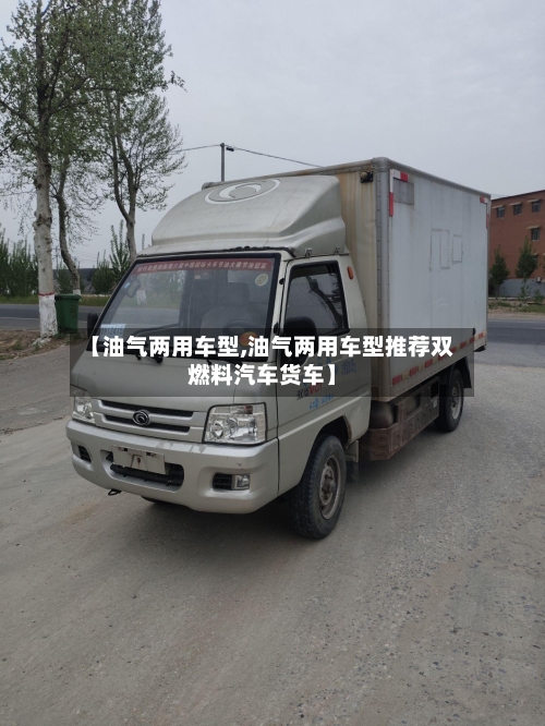 【油气两用车型,油气两用车型推荐双燃料汽车货车】