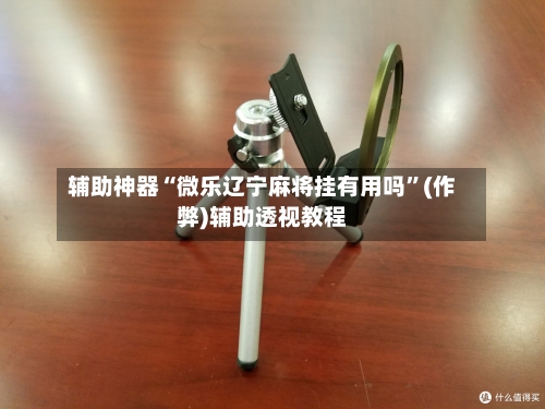 辅助神器“微乐辽宁麻将挂有用吗”(作弊)辅助透视教程