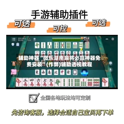 辅助神器“微乐湖南麻将必赢神器免费安装”(作弊)辅助透视教程-第2张图片