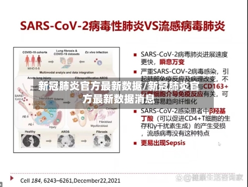 新冠肺炎官方最新数据/新冠肺炎官方最新数据消息