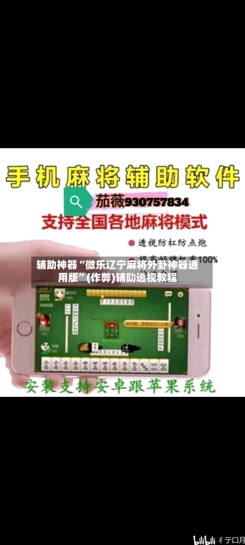 辅助神器“微乐辽宁麻将外卦神器通用版”(作弊)辅助透视教程-第3张图片