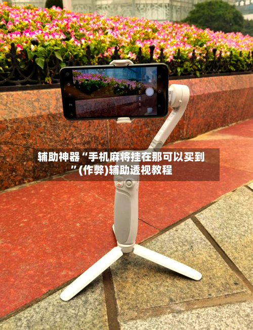 辅助神器“手机麻将挂在那可以买到”(作弊)辅助透视教程