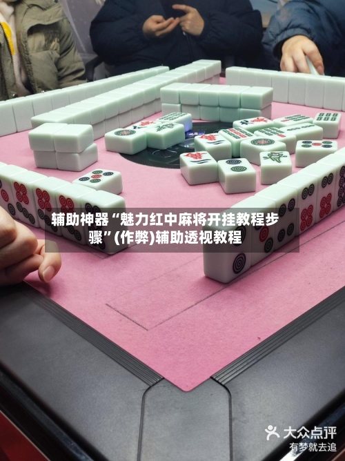 辅助神器“魅力红中麻将开挂教程步骤”(作弊)辅助透视教程-第2张图片
