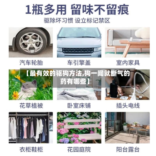 【最有效的驱狗方法,狗一闻就断气的药有哪些】