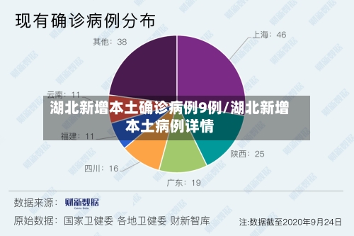 湖北新增本土确诊病例9例/湖北新增本土病例详情-第3张图片
