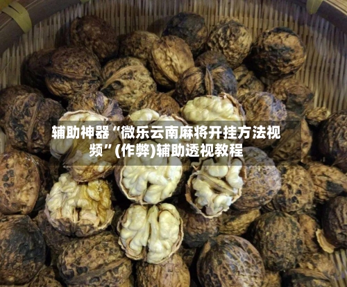 辅助神器“微乐云南麻将开挂方法视频”(作弊)辅助透视教程