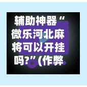 辅助神器“微乐河北麻将可以开挂吗?”(作弊)辅助透视教程-第2张图片