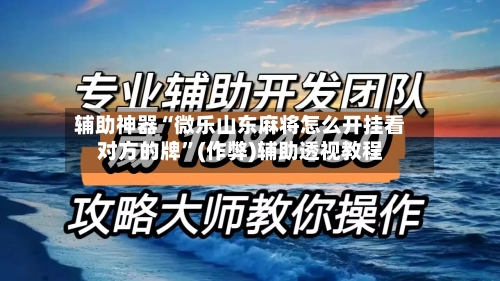辅助神器“微乐山东麻将怎么开挂看对方的牌”(作弊)辅助透视教程