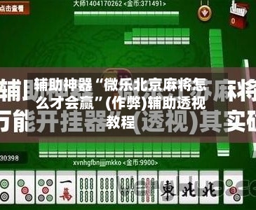 辅助神器“微乐北京麻将怎么才会赢”(作弊)辅助透视教程-第3张图片