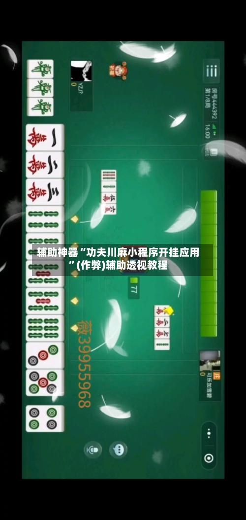 辅助神器“功夫川麻小程序开挂应用	”(作弊)辅助透视教程-第2张图片