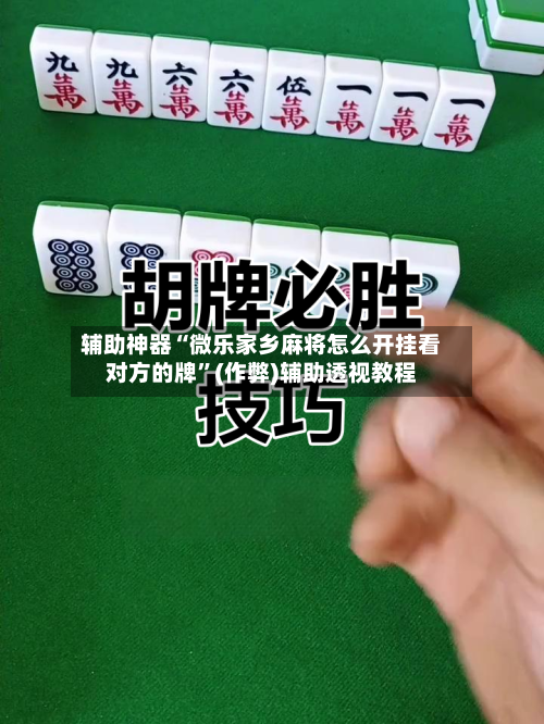 辅助神器“微乐家乡麻将怎么开挂看对方的牌”(作弊)辅助透视教程-第3张图片