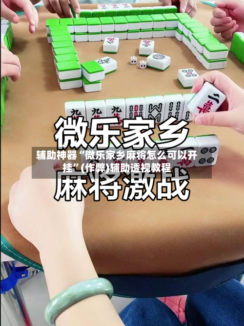 辅助神器“微乐家乡麻将怎么可以开挂”(作弊)辅助透视教程-第3张图片
