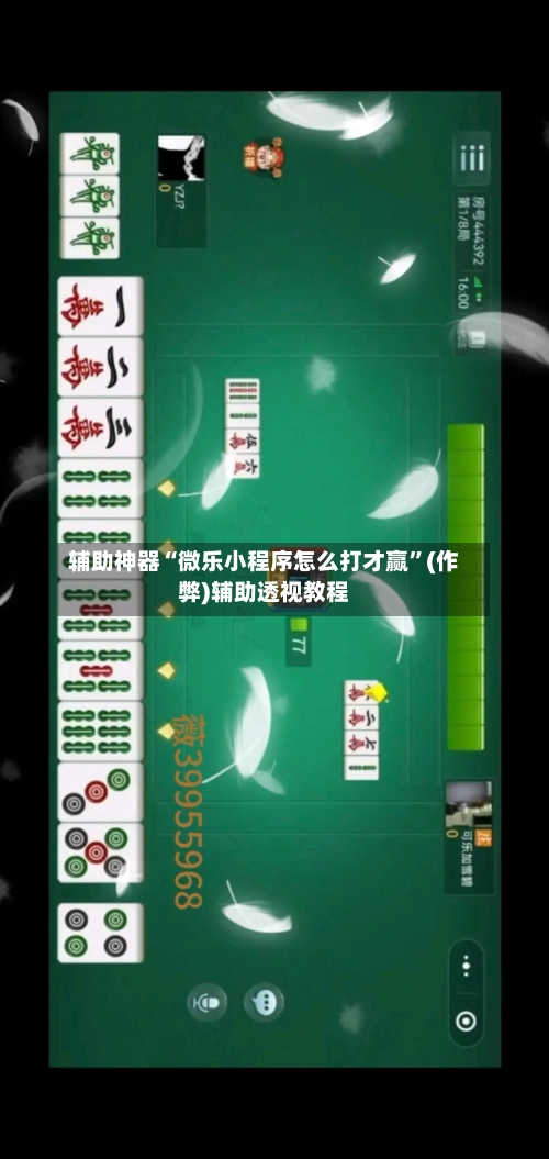 辅助神器“微乐小程序怎么打才赢”(作弊)辅助透视教程-第2张图片