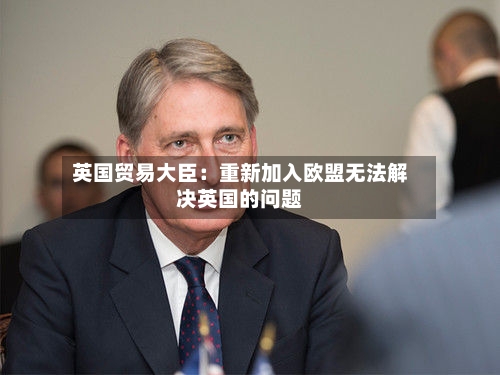 英国贸易大臣：重新加入欧盟无法解决英国的问题-第3张图片
