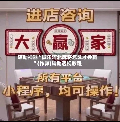 辅助神器“微乐河北麻将怎么才会赢”(作弊)辅助透视教程-第3张图片