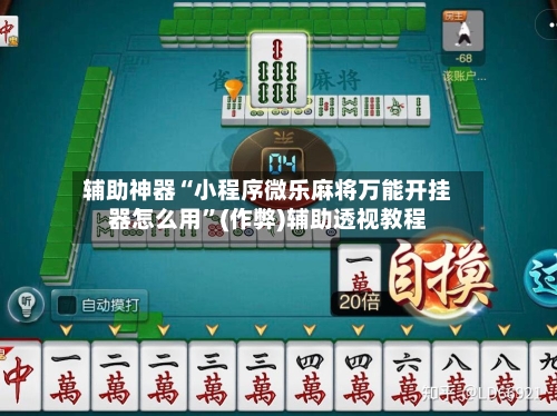 辅助神器“小程序微乐麻将万能开挂器怎么用”(作弊)辅助透视教程-第2张图片