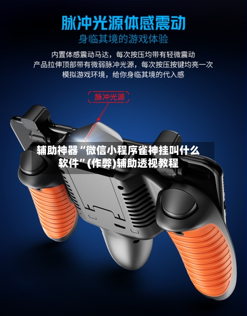 辅助神器“微信小程序雀神挂叫什么软件”(作弊)辅助透视教程-第2张图片