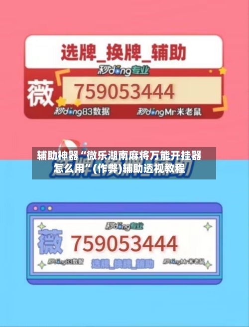 辅助神器“微乐湖南麻将万能开挂器怎么用”(作弊)辅助透视教程