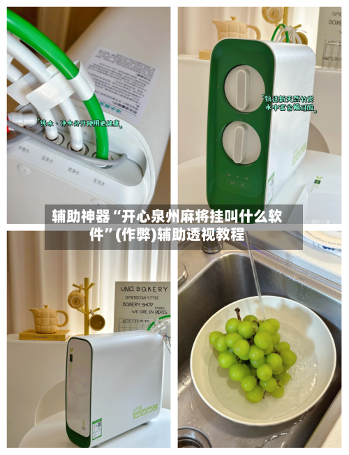 辅助神器“开心泉州麻将挂叫什么软件”(作弊)辅助透视教程