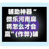 辅助神器“微乐河南麻将怎么才会赢”(作弊)辅助透视教程-第3张图片