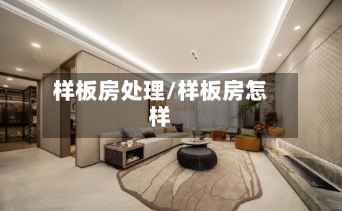 样板房处理/样板房怎样-第3张图片