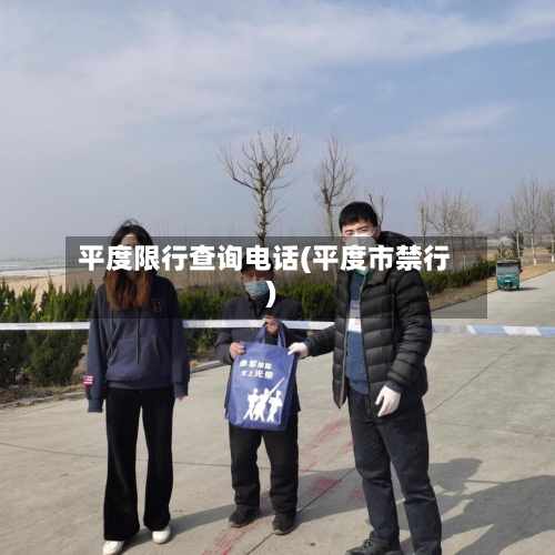 平度限行查询电话(平度市禁行)