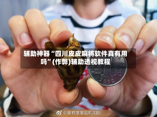 辅助神器“四川皮皮麻将软件真有用吗”(作弊)辅助透视教程