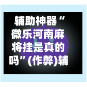 辅助神器“微乐河南麻将挂是真的吗”(作弊)辅助透视教程-第2张图片