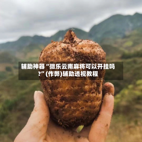 辅助神器“微乐云南麻将可以开挂吗?”(作弊)辅助透视教程