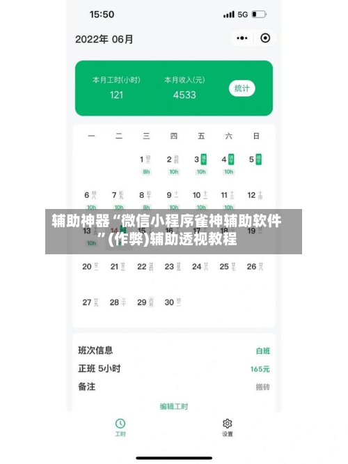 辅助神器“微信小程序雀神辅助软件”(作弊)辅助透视教程-第2张图片