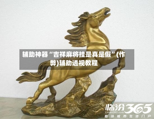 辅助神器“吉祥麻将挂是真是假”(作弊)辅助透视教程-第2张图片