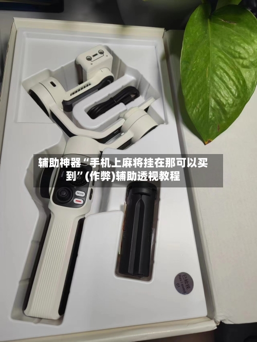 辅助神器“手机上麻将挂在那可以买到”(作弊)辅助透视教程