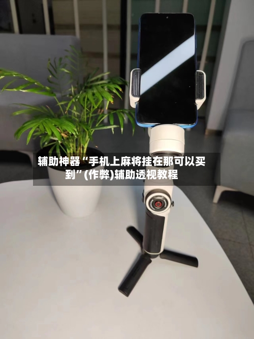 辅助神器“手机上麻将挂在那可以买到”(作弊)辅助透视教程-第3张图片