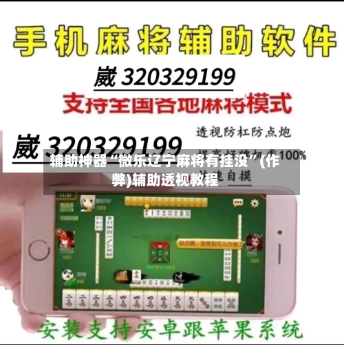 辅助神器“微乐辽宁麻将有挂没”(作弊)辅助透视教程