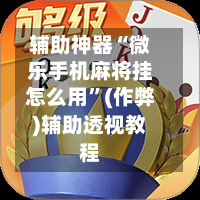 辅助神器“微乐手机麻将挂怎么用”(作弊)辅助透视教程-第2张图片