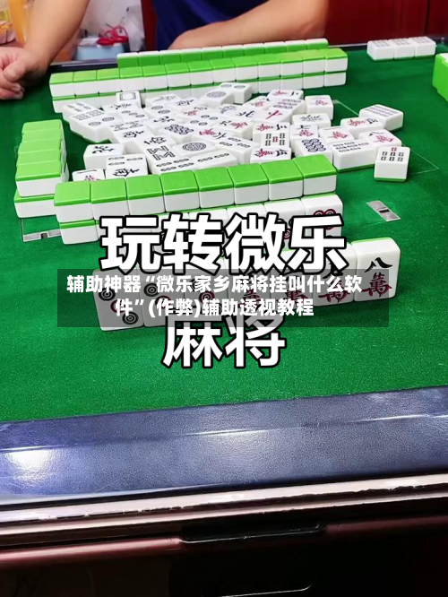 辅助神器“微乐家乡麻将挂叫什么软件”(作弊)辅助透视教程