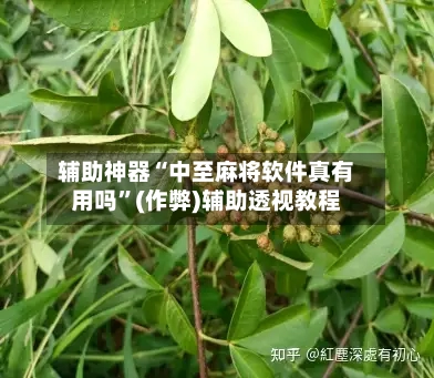 辅助神器“中至麻将软件真有用吗”(作弊)辅助透视教程-第2张图片
