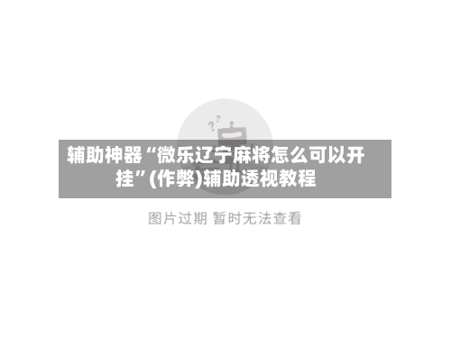 辅助神器“微乐辽宁麻将怎么可以开挂	”(作弊)辅助透视教程-第2张图片