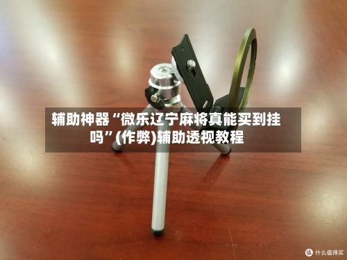 辅助神器“微乐辽宁麻将真能买到挂吗”(作弊)辅助透视教程