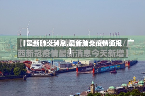 【最新肺炎消息,最新肺炎疫情通报】-第2张图片